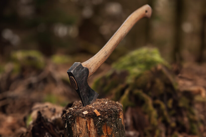 Bushcraft Axe